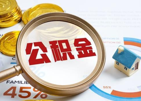 白城2025年政策调整对个人影响综合解析